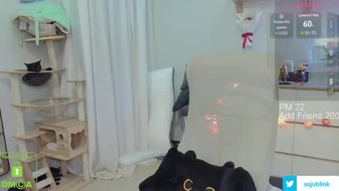 Snapshot of daisybean chatting on March 2026 08:52:01 AM Daisy online show from March 2026 08:52:01 AM