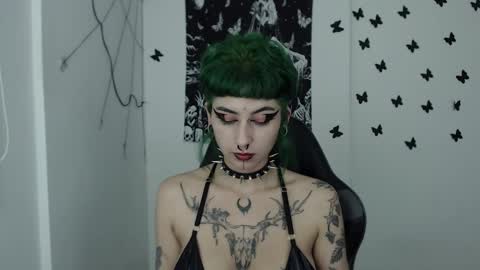 Snapshot of dakota_krall_ chatting on December 2024 05:48:01 AM dakota online show from December 2024 05:48:01 AM