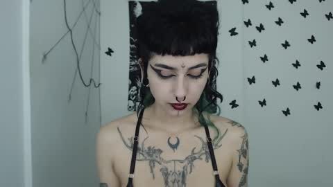 Snapshot of dakota_krall_ chatting on January 2025 10:48:02 AM dakota online show from January 2025 10:48:02 AM