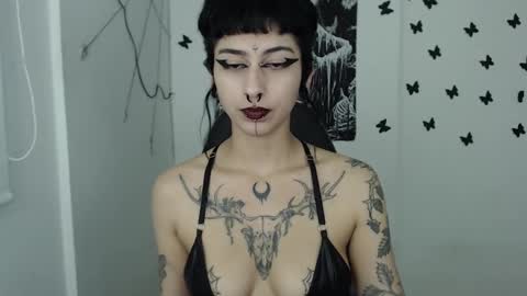 Snapshot of dakota_krall_ chatting on January 2025 07:17:01 AM dakota online show from January 2025 07:17:01 AM