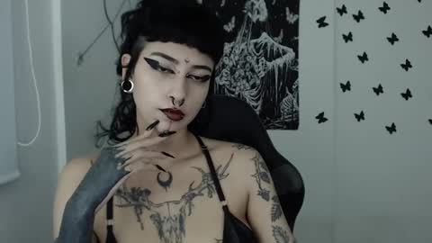 Snapshot of dakota_krall_ chatting on January 2025 04:47:01 AM dakota online show from January 2025 04:47:01 AM