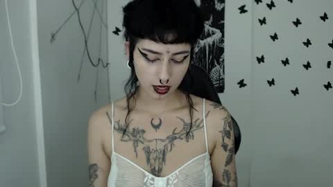 Snapshot of dakota_krall_ chatting on February 2025 02:47:02 AM dakota online show from February 2025 02:47:02 AM