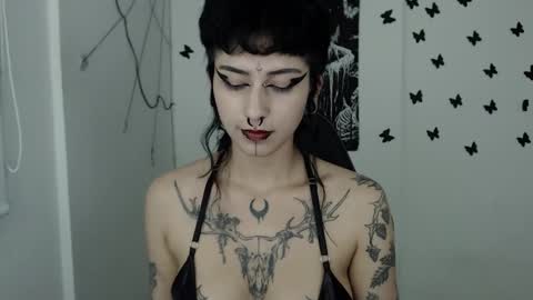 Snapshot of dakota_krall_ chatting on February 2025 05:51:02 AM dakota online show from February 2025 05:51:02 AM