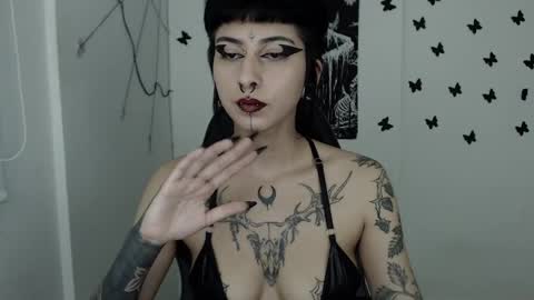 Snapshot of dakota_krall_ chatting on February 2025 06:37:01 AM dakota online show from February 2025 06:37:01 AM