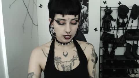 Snapshot of dakota_krall_ chatting on October 2025 11:55:02 AM dakota online show from October 2025 11:55:02 AM