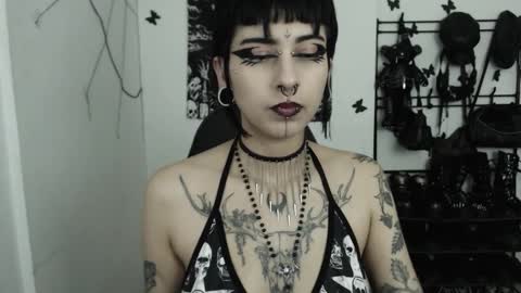 Snapshot of dakota_krall_ chatting on November 2025 02:12:01 AM dakota online show from November 2025 02:12:01 AM