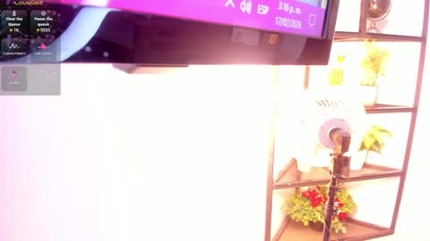 Sammy online show from February 2026 08:15:01 PM