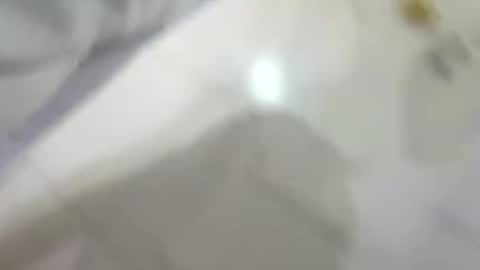 dakovid33 online show from January 2026 07:30:01 PM