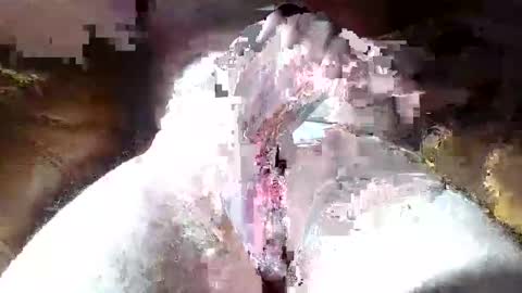 Snapshot of dalamud48 chatting on March 2026 09:21:02 AM dalamud48 online show from March 2026 09:21:02 AM