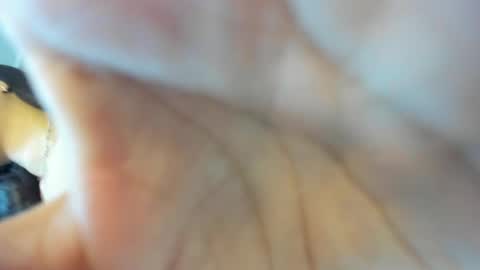 Dalila online show from January 2025 02:38:02 AM