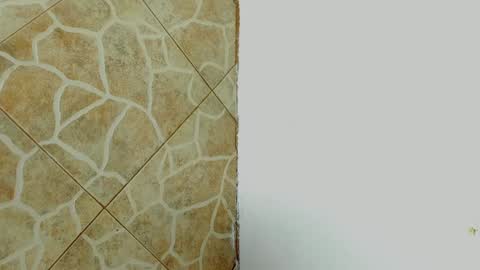         online show from February 2025 07:04:02 AM