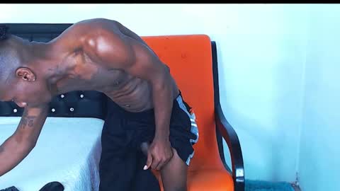 damian_hart_24cm online show from December 2024 01:44:01 PM