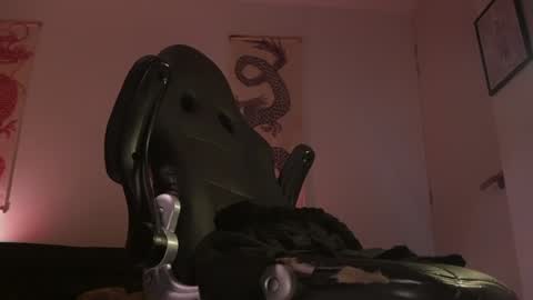 insta damn8   --------  online show from December 2024 03:40:02 AM