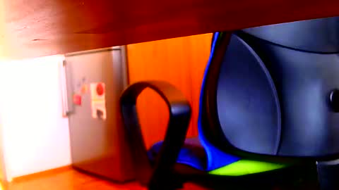 Snapshot of dammerl6 chatting on March 2025 07:19:01 AM Dammerl online show from March 2025 07:19:01 AM