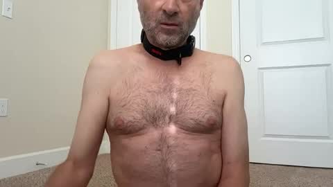 slave being trained online show from June 2026 04:11:02 PM