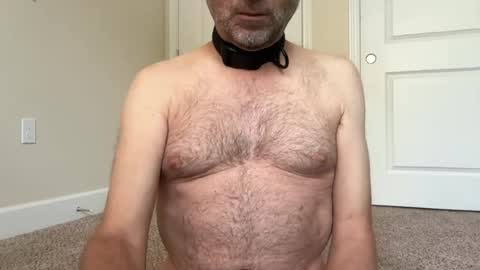 slave being trained online show from June 2026 02:42:01 PM