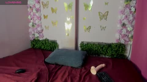 I am Dana  Check mi profile online show from December 2025 01:49:01 PM