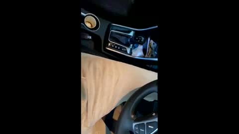 danbubs online show from December 2024 10:45:02 PM