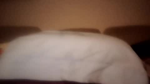 Dani225812 online show from September 2025 08:44:01 PM