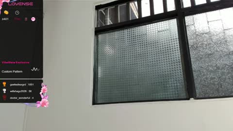 Snapshot of dani_ary chatting on December 2024 10:13:01 PM DANI online show from December 2024 10:13:01 PM