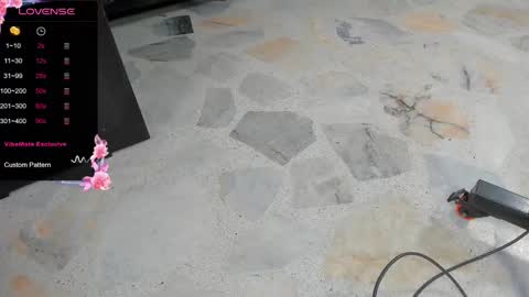 Snapshot of dani_ary chatting on February 2025 02:11:02 PM DANI online show from February 2025 02:11:02 PM