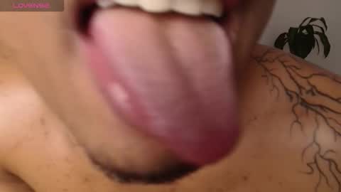 Daniel  online show from November 2025 11:54:01 AM