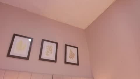 Hi I am Dani online show from May 2026 11:40:01 AM
