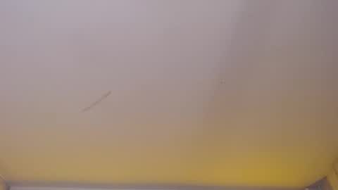 dania_b_ online show from November 2025 03:06:01 AM