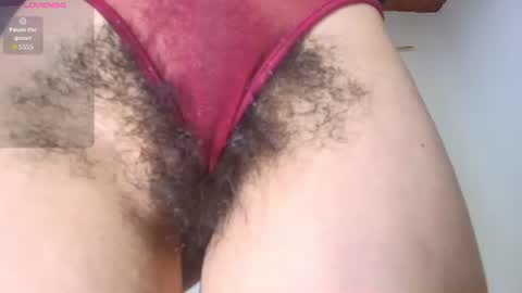DANIA online show from June 2026 02:44:01 AM
