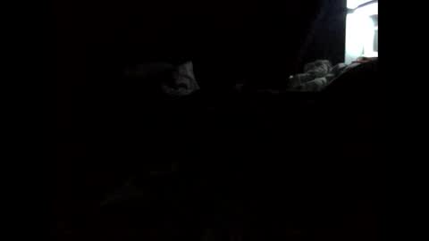 daniellbisous online show from March 2026 09:03:02 AM
