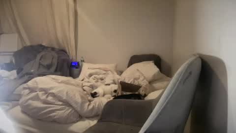 daniellealexa online show from June 2026 09:58:01 AM