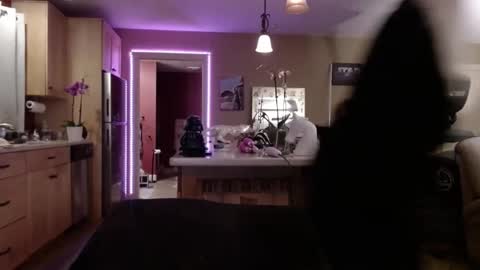 DanikaWhite69 online show from February 2025 08:22:02 AM