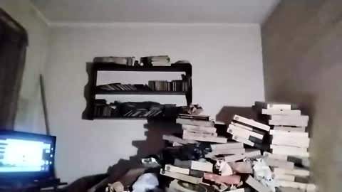 danitacrs online show from March 2026 02:48:01 AM