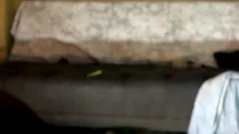 Snapshot of dankshepp chatting on October 2025 01:04:02 AM dandeb online show from October 2025 01:04:02 AM