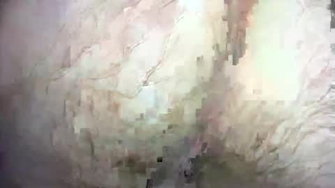 dankz4two0 online show from December 2024 01:32:01 PM