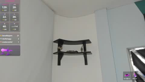 Danna online show from December 2024 06:56:02 AM