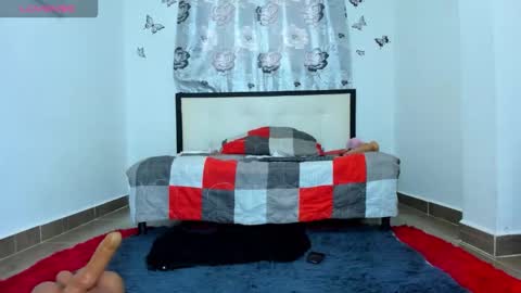 Snapshot of dannii_stevens chatting on October 2025 12:27:01 PM silvana online show from October 2025 12:27:01 PM