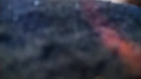 Snapshot of dannowisc chatting on February 2026 04:09:02 AM dannowisc online show from February 2026 04:09:02 AM