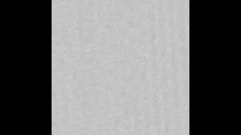 Dannyaa online show from October 2025 12:16:02 PM