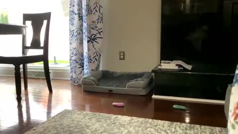 Snapshot of dannyboy621 chatting on October 2025 01:18:01 PM dannyboy621 online show from October 2025 01:18:01 PM