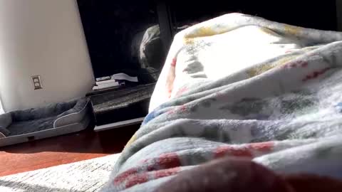 Snapshot of dannyboy621 chatting on November 2025 01:56:02 PM dannyboy621 online show from November 2025 01:56:02 PM