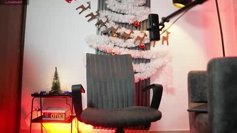 SEBAS online show from December 2025 02:39:01 AM