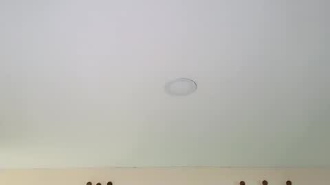 Snapshot of danteestone chatting on February 2025 08:55:02 PM Dante online show from February 2025 08:55:02 PM