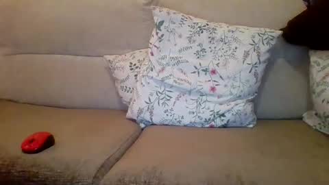 danydotado online show from December 2024 07:38:02 PM