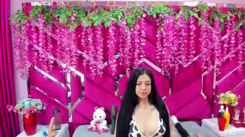 DanySwet online show from January 2025 12:38:02 PM