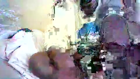 daphne online show from May 2026 10:44:02 AM