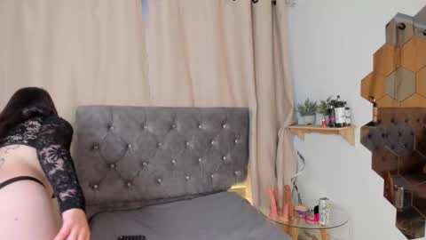 Daphne online show from January 2026 12:43:02 PM