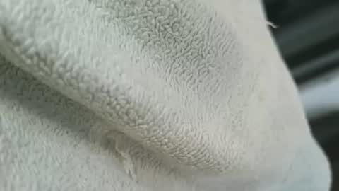 Snapshot of dapppper chatting on March 2026 02:56:01 PM dapppper online show from March 2026 02:56:01 PM