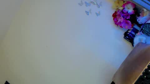 Angel Condensada online show from February 2025 05:41:01 AM