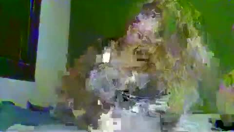 Snapshot of darius171987 chatting on March 2026 02:22:02 PM darius171987 online show from March 2026 02:22:02 PM